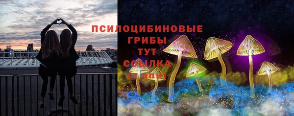 скорость Алзамай