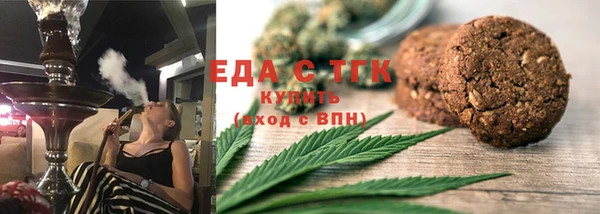 индика Горнозаводск